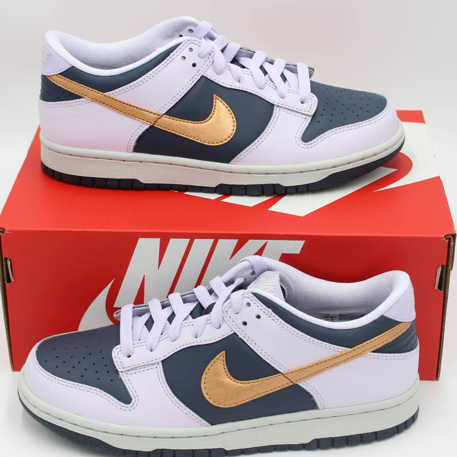 Nike Dunk Low Se Copper Swoosh (Gs) Grade School Size 6y Style Dx1663 400